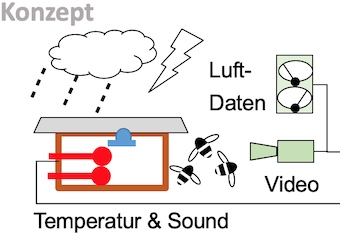 Bienen als Biosensoren - Konzept